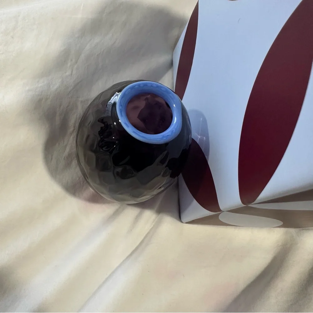 NEW in BOX LA DOUBLEJ Misty Rainbow Mix in Murano‎ Glass Baby Egg Vase reg $195 - Picture 10 of 12